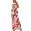 Pretty Lavish Keisha Cowl Neck Maxi Dress In Feather Print For Women
